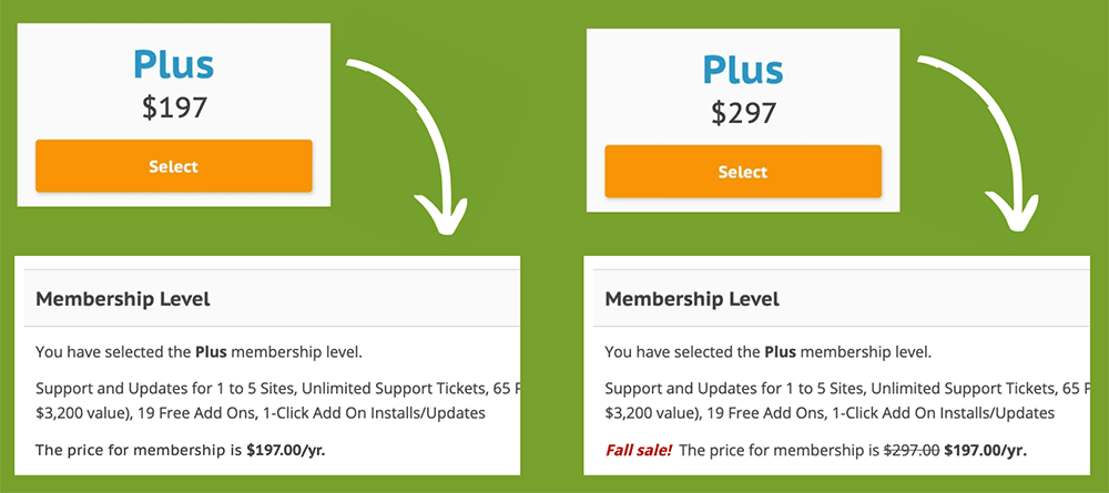 Example of how we faked a price increase to test the effect on conversions